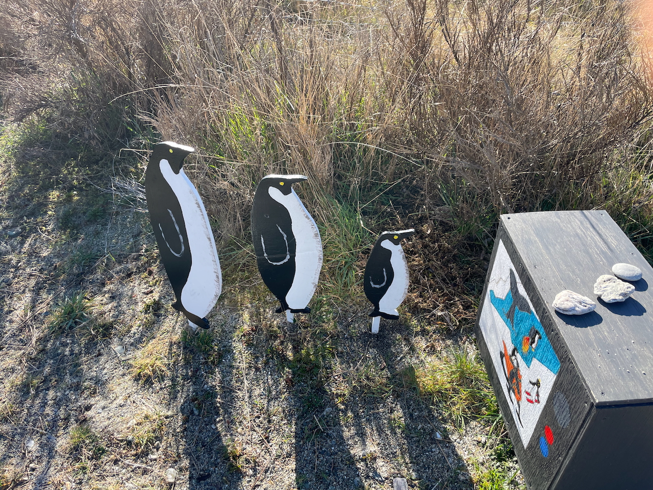 Kingston penguins