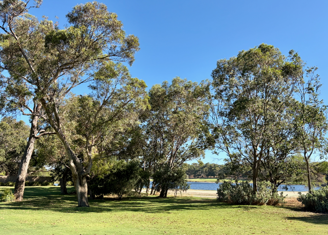 Karrinyup lake view through the trees
