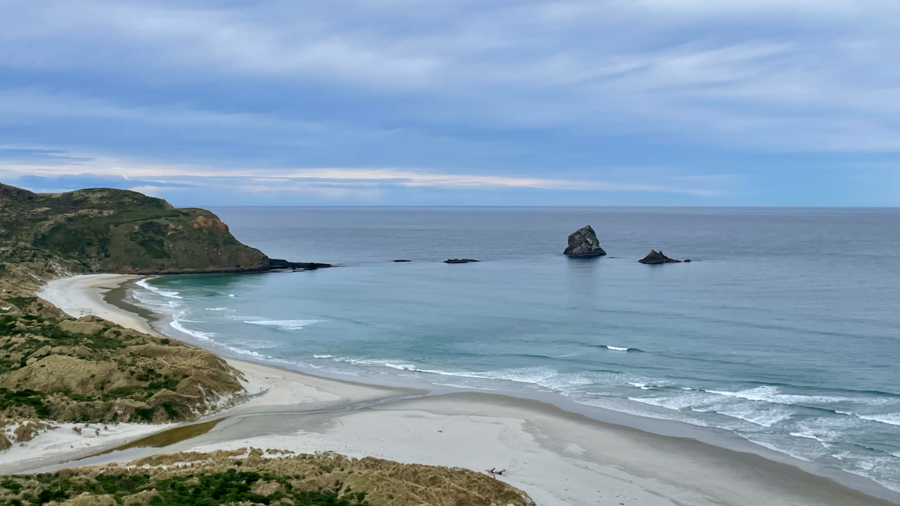Otago water view
