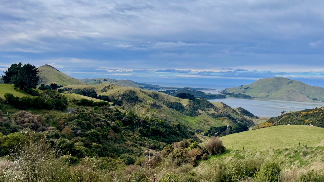 Otago view