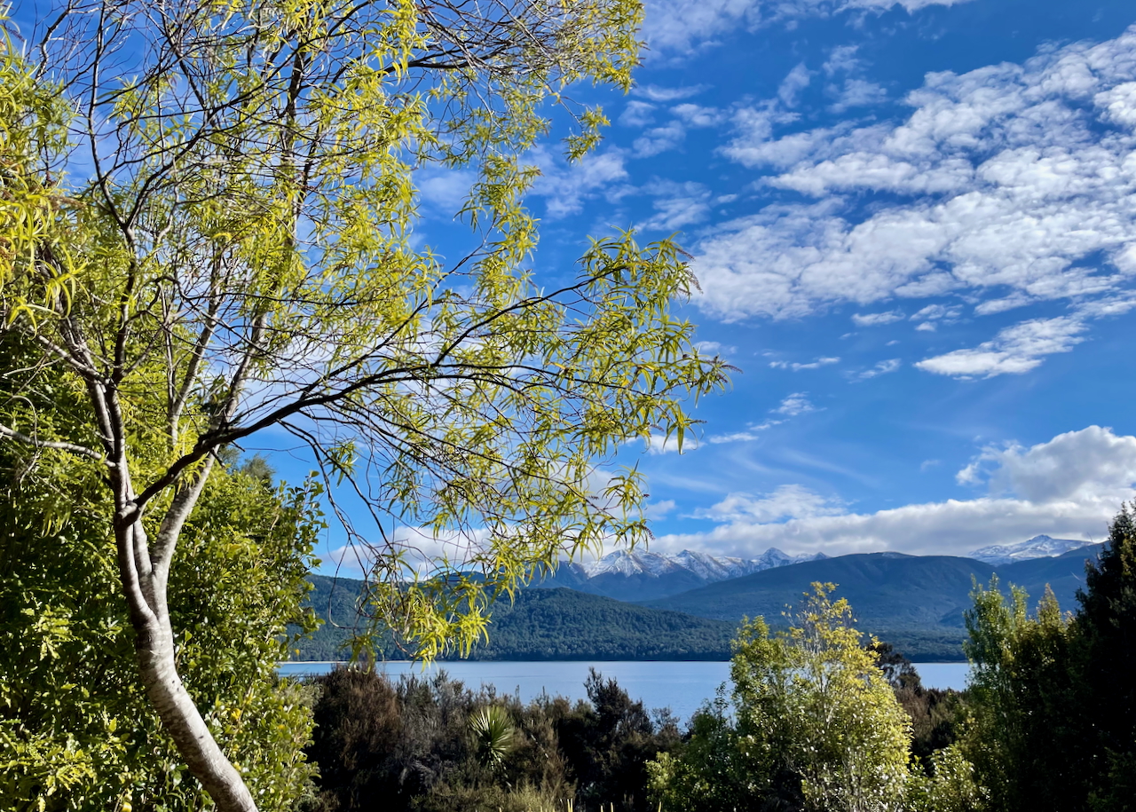 Te Anau view