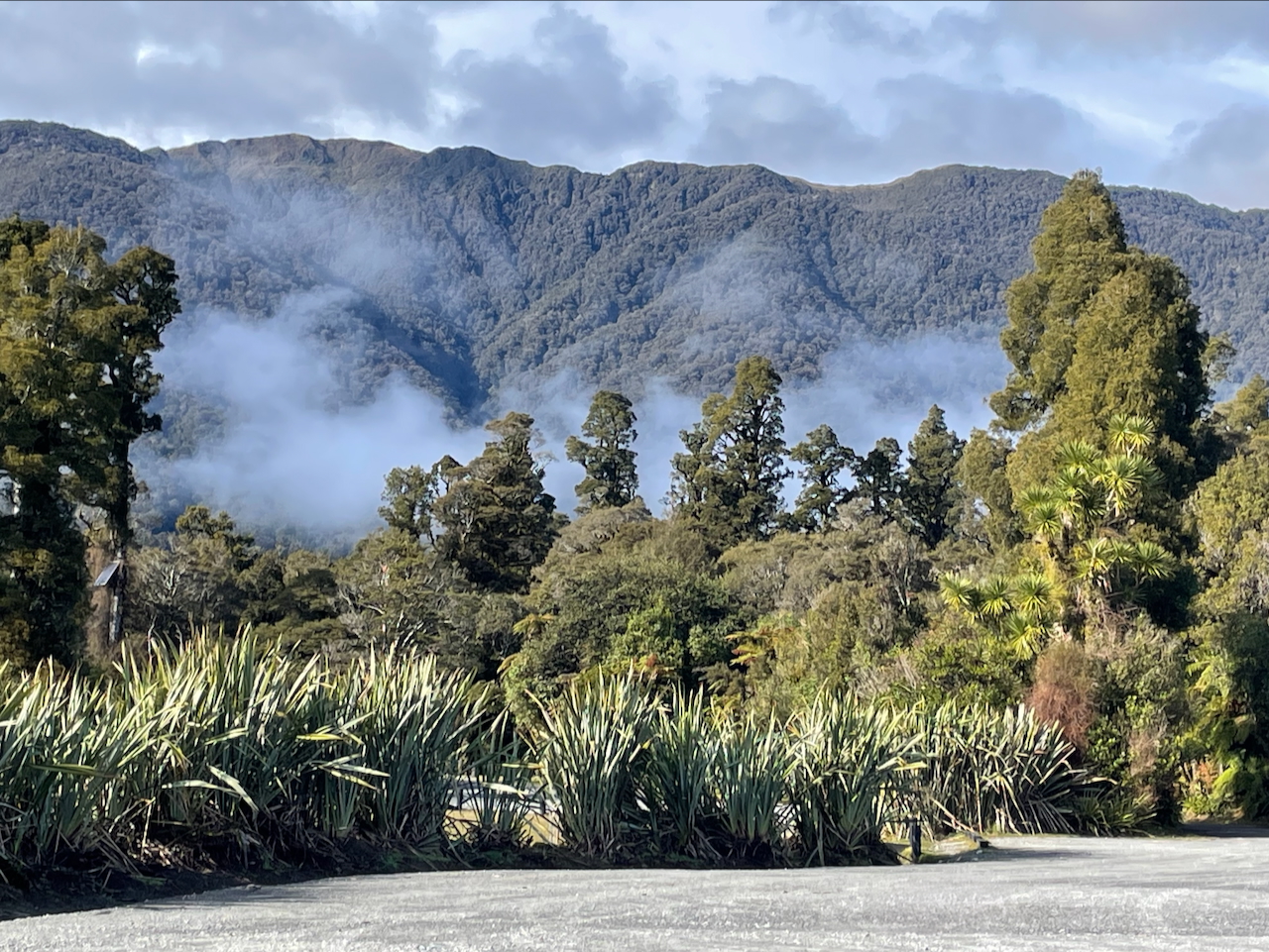 View between Franz Josef and Wanaka