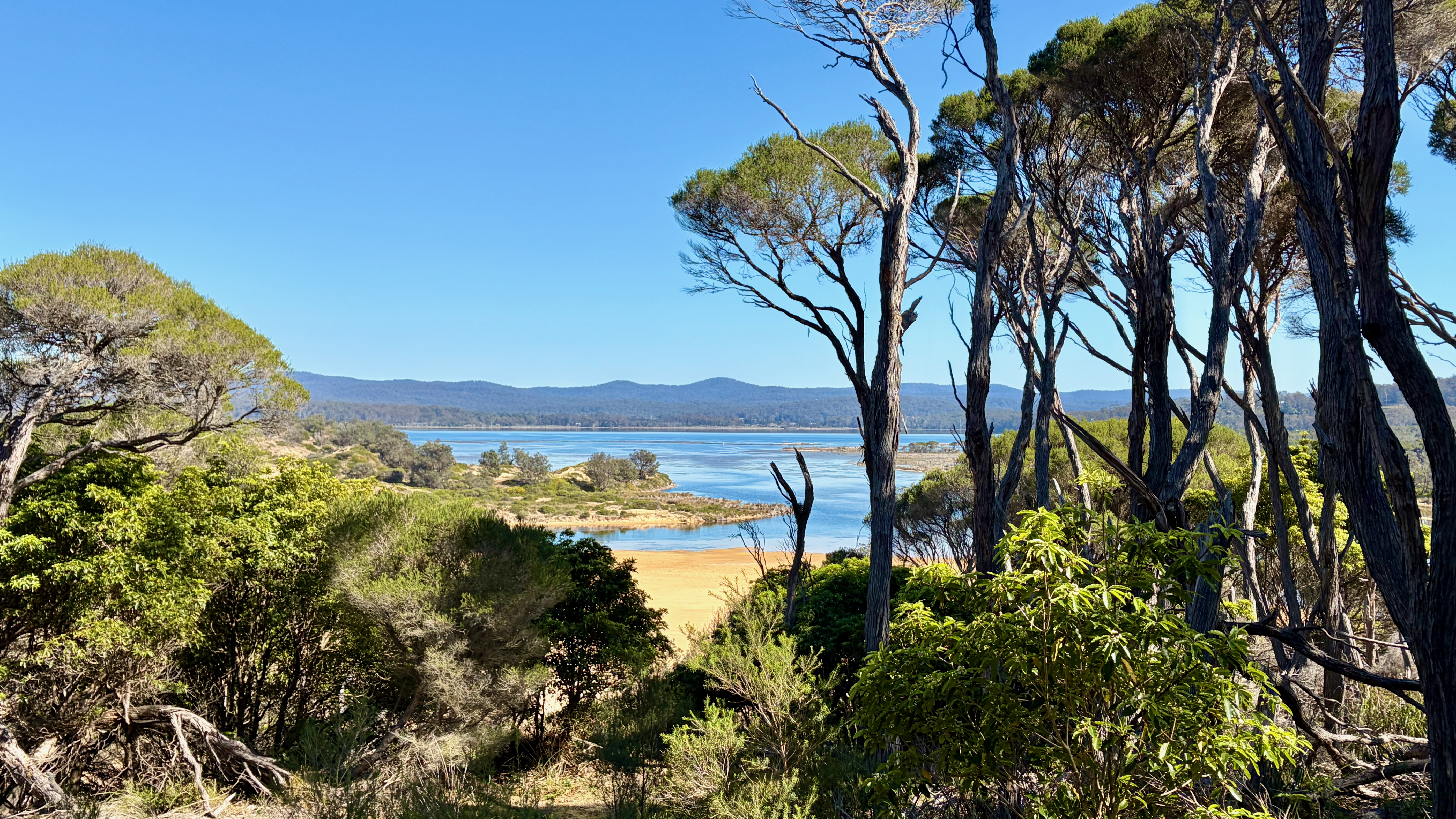 /img/posts/nsw-coast-2026.jpg
